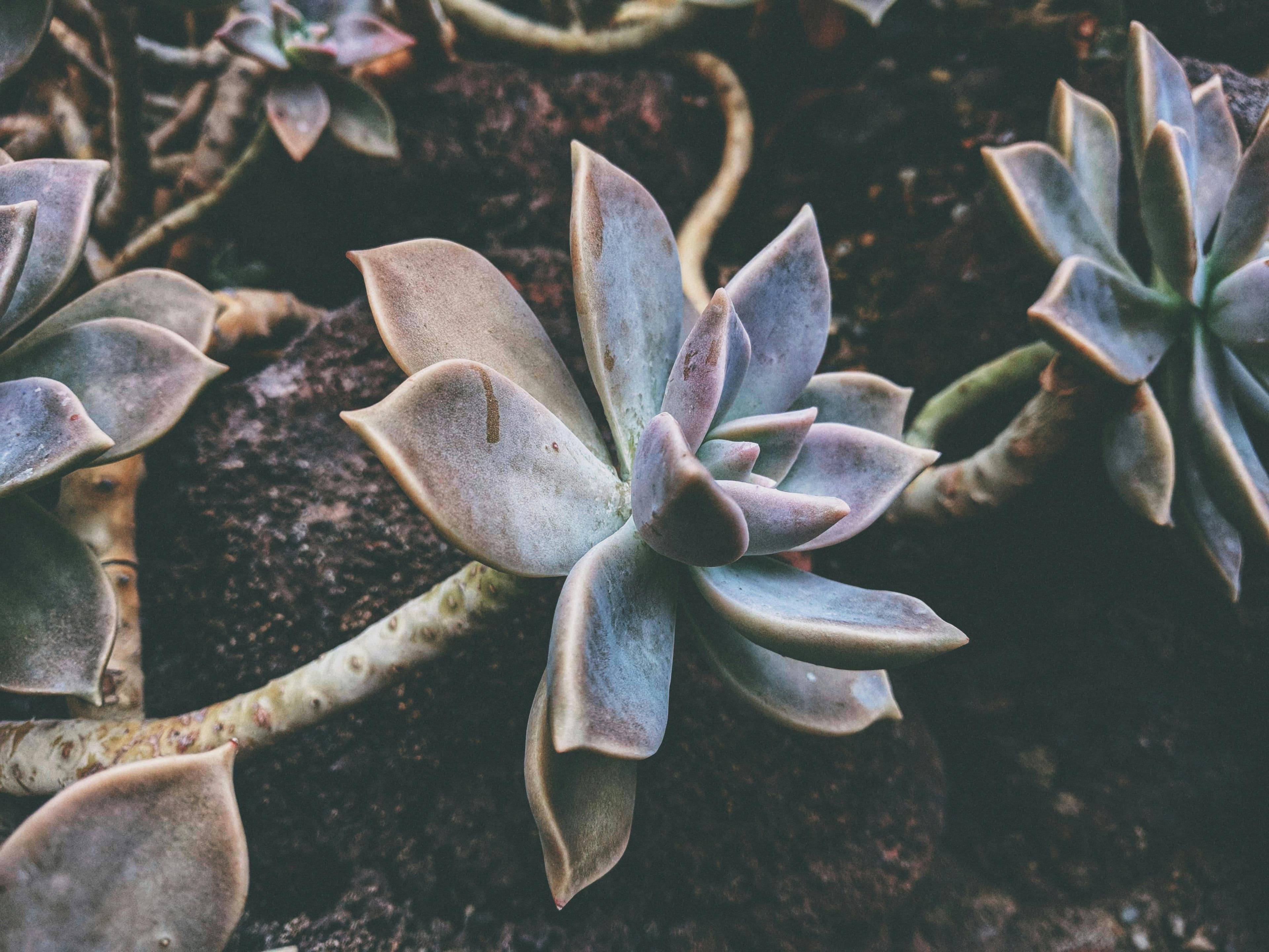 Comércio e Fornecimento Geral